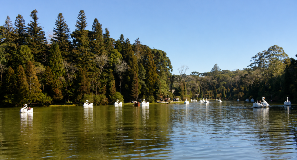 Lago Negro cercado por árvores e com pedalinhos em formato de cisne, em Gramado.
